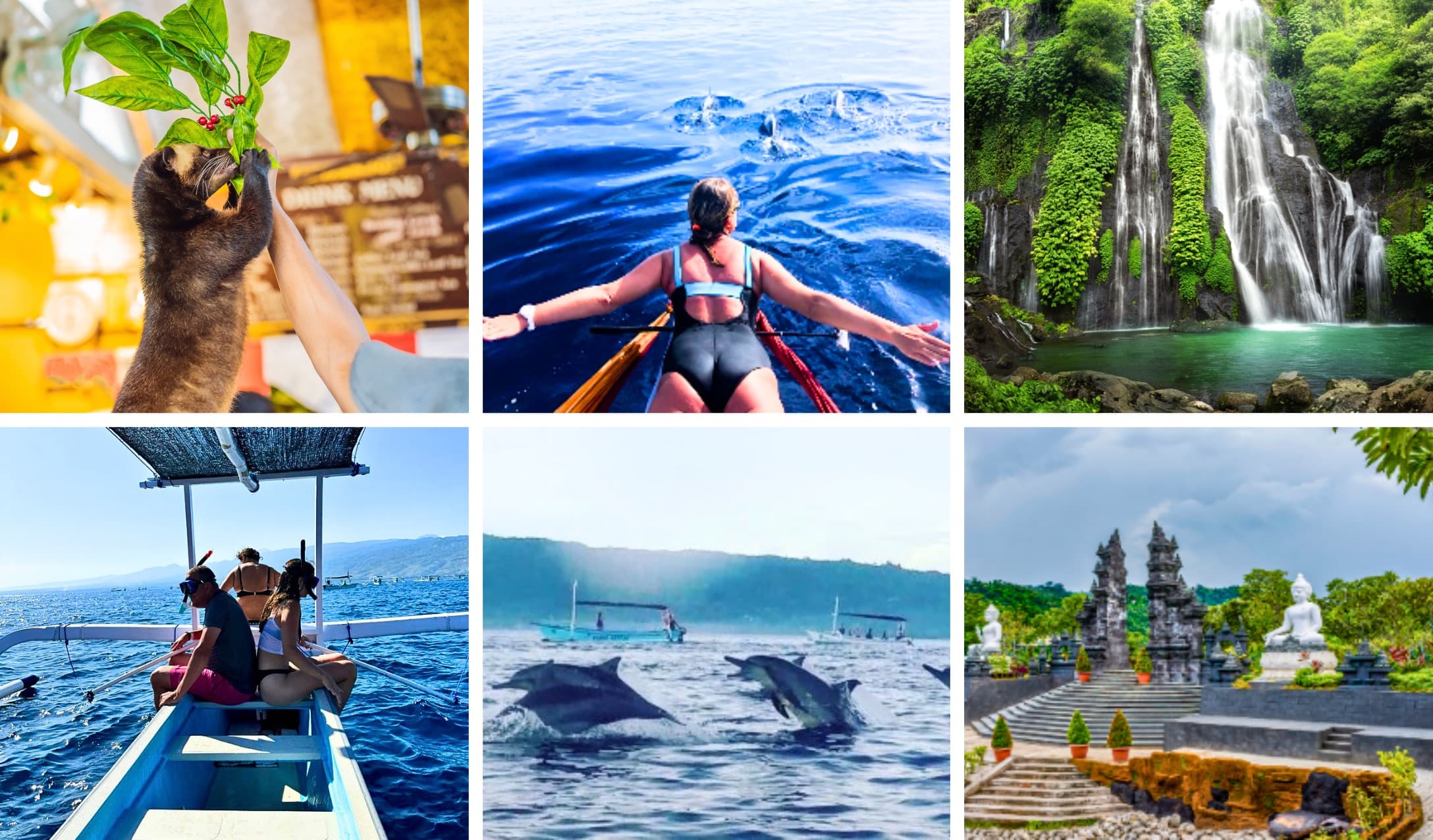 Снорклинг с дельфинами (1 день)